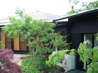 真っ黒の外壁が、庭木とマッチングしてます。